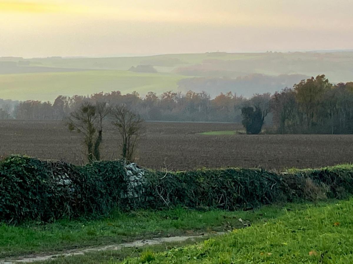 Voyage… Villa Noyers-sur-Serein Esterno foto